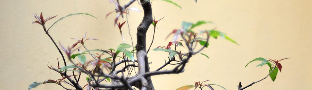 Навигатор истории